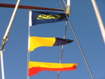 Sparkman & Stephens, designer of S/V Magic Carpet